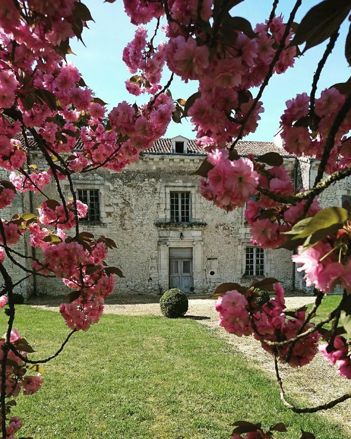 Domaine De Bourgville Monts-sur-Guesnes Exterior foto